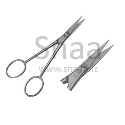 Dissecting Scissors