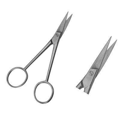 Dissecting Scissors