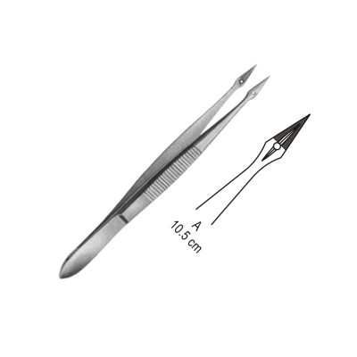Hunter Forceps