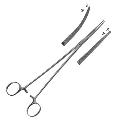 Bengolea Forceps, 1x2