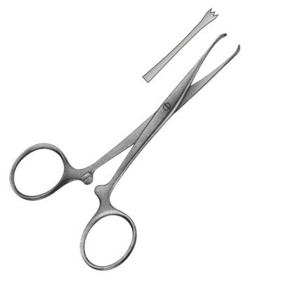 Chaput Forceps