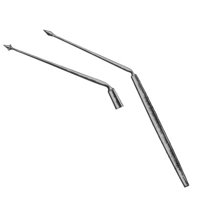 Troeltsch Perforator