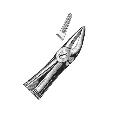 Extracting Forceps English Pattern, Fig. 30