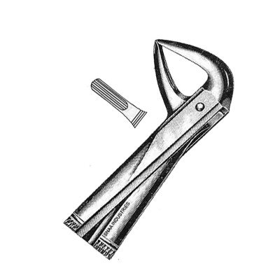 Extracting Forceps English Pattern, Fig. 137