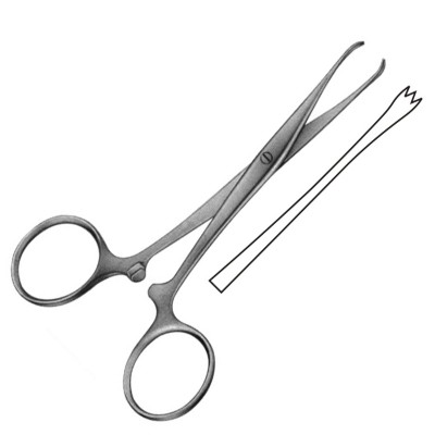 Chaput Intestinal Forceps