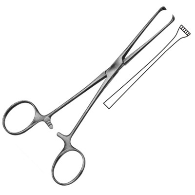 Boys-Allis Intestinal Forceps