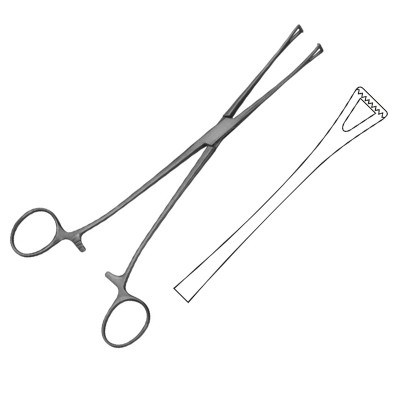 Lockwood Intestinal Forceps