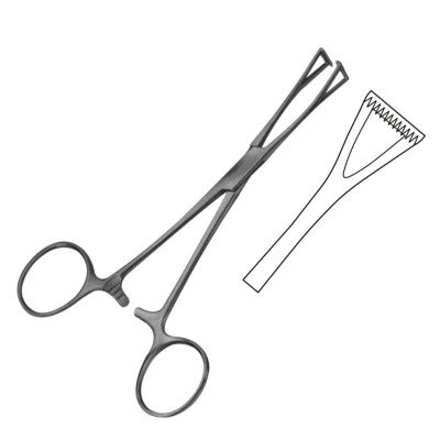 Collin Intestinal Forceps
