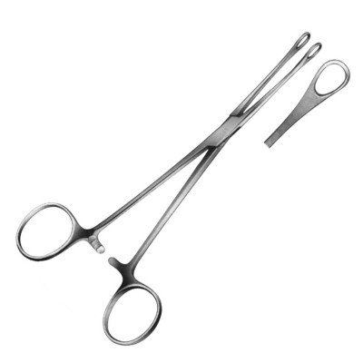 Williams Intestinal Forceps