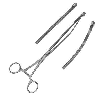 Nussbaum Intestinal Forceps